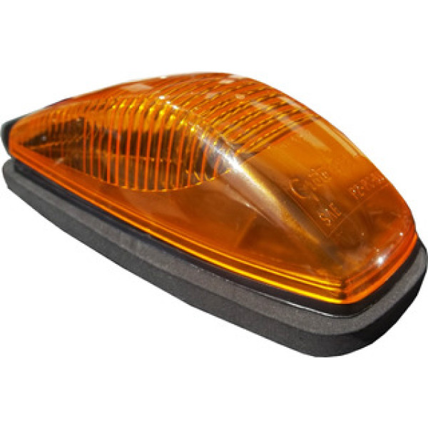 ZEPELIN FREIGHTLINER INTER AMBAR