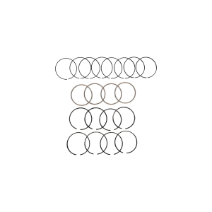 JUEGO DE ANILLOS GM 2.2 96-03 - 3161X-030