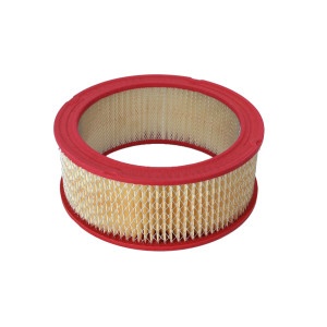 FILTRO AIRE F-150 L6 4.9L 78-81 - GA-80
