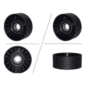 POLEA LOCA DURANGO 5.9L 03-07 RT-131116 - RT-131116