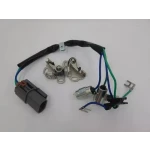 PLATINO Y CONDENSADOR TSURU (NPS-209) (WH-100)