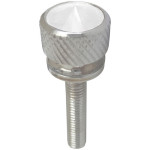 TORNILLO TABLERO KENWORTH PIEDRA BLANCA