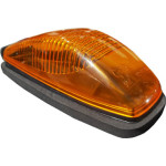 ZEPELIN FREIGHTLINER INTER AMBAR