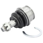 ROTULA INFERIOR TACOMA 4X4 05/19 (1025022)