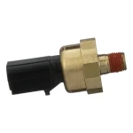 BULBO ACEITE DURANGO 02- (PS317)
