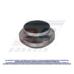 EMPAQUE ESCAPE GM 4.3 5.7 PXPZA