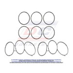 EMPAQUE MULTIPLE ADMISION FORD 4.0 97-01