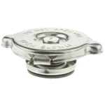 TAPON RADIADOR F600 91-94 7LBS (31526)